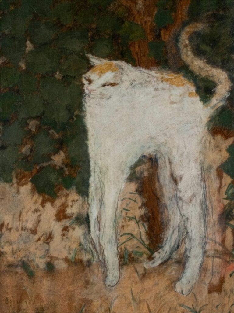 白い猫